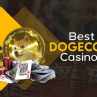 A Comprehensive Guide to Choosing the Best Dogecoin Casinos (1).jpg